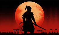 Image NinjaRoof