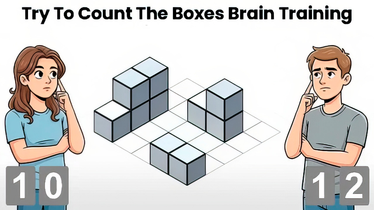 Image Try To Count The Boxes Brain Training