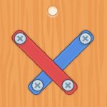 Nuts Bolts Screw Puzzle